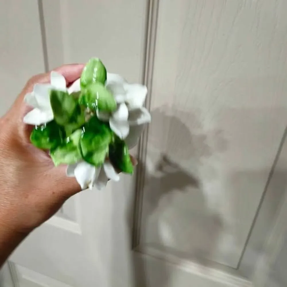 Royal Adderley Floral of the Month Bone China Gardenia Flower Figurine